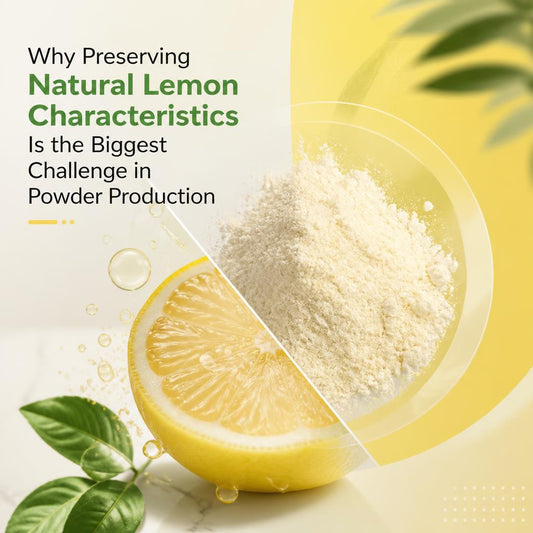 Why Preserving Natural Lemon Characteristics Is the Biggest Challenge in Powder Production