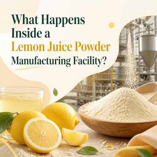 What Happens Inside a Lemon Juice Powder Manufacturing Facility?