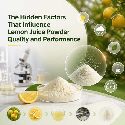 The Hidden Factors That Influence Lemon Juice Powder Quality and Performance